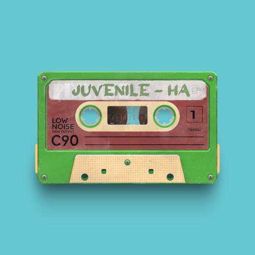 04275 - Juvenile - Ha